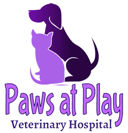 Play Veterinary Hospital - Raleigh, NC 