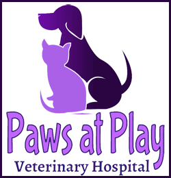 Paws At Play Veterinary Hospital Logo